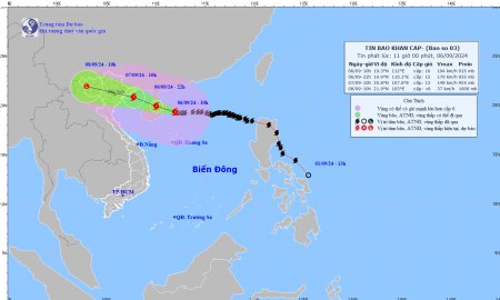 Lịch trực phòng, chống bão số 3 năm 2024