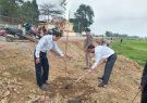 Cán bộ UBND thi trấn Lam Sơn thực hiện Tết trồng cây