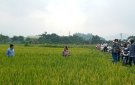 Thị trấn Lam Sơn triển khai phương án sản xuất vụ thu mùa năm 23024