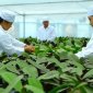 HUYỆN THỌ XUÂN: TẬP TRUNG THỰC HIỆN ĐỒNG BỘ, HIỆU QUẢ CÁC GIẢI PHÁP ĐẨY MẠNH SẢN XUẤT, KINH DOANH, PHÁT TRIỂN KINH TẾ XÃ HỘI TRÊN ĐỊA BÀN