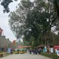 Ngày xuân thăm đất Lam Kinh