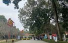 Ngày xuân thăm đất Lam Kinh