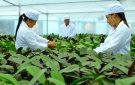 HUYỆN THỌ XUÂN: TẬP TRUNG THỰC HIỆN ĐỒNG BỘ, HIỆU QUẢ CÁC GIẢI PHÁP ĐẨY MẠNH SẢN XUẤT, KINH DOANH, PHÁT TRIỂN KINH TẾ XÃ HỘI TRÊN ĐỊA BÀN